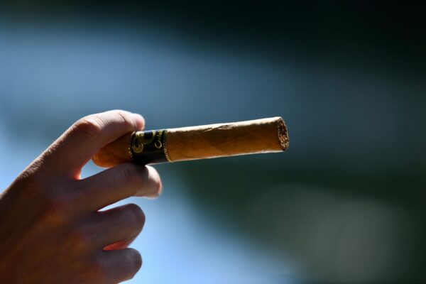 Premium Cigars